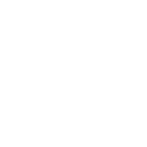 200+ Leaders Transformed