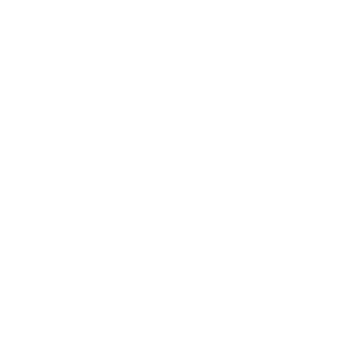 25+ Years Experience